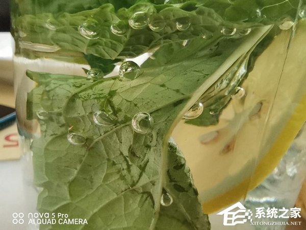 华为nova 5 Pro拍照好用吗？华为nova 5 Pro拍照性能实测