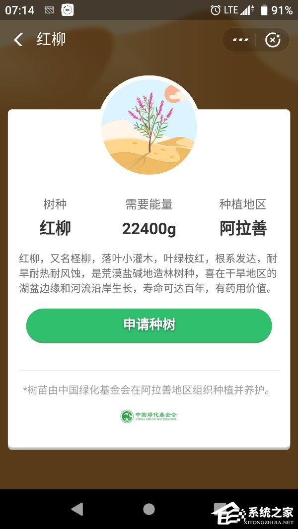 22400g能量！蚂蚁森林上线新树种“红柳”