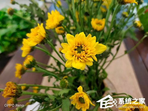 OPPO Reno值得买吗？OPPO Reno手机体验评测