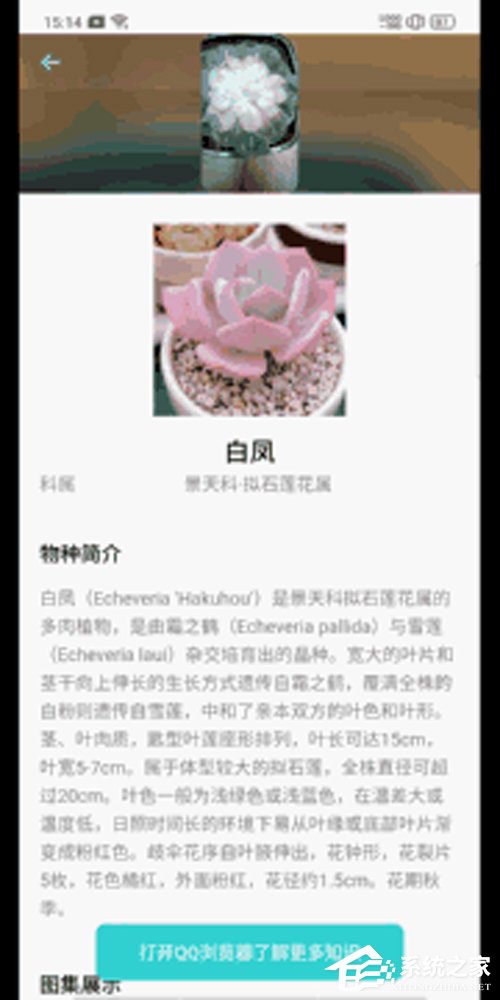 OPPO Reno值得买吗？OPPO Reno手机体验评测