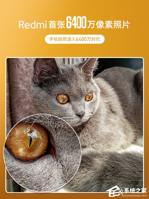进入6400万像素时代！Redmi首张6400万像素样片出炉