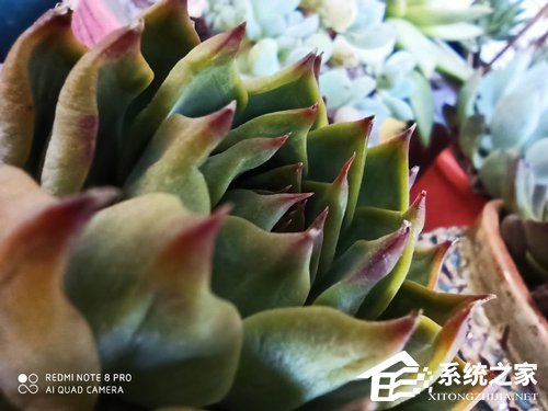 红米Note8 Pro好不好?Redmi Note8 Pro手机评测