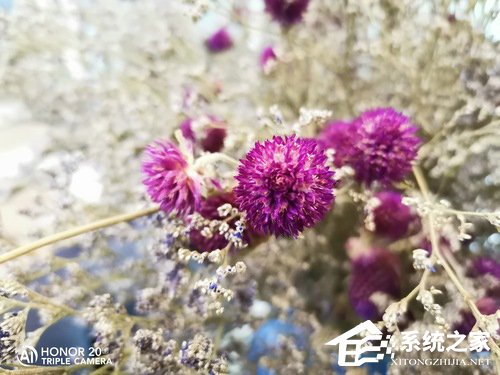 荣耀20S好不好？荣耀20S手机体验评测