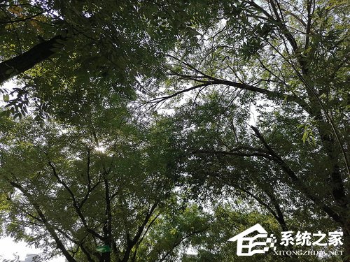 华为畅享10 Plus怎么样?华为畅享10 Plus体验评测