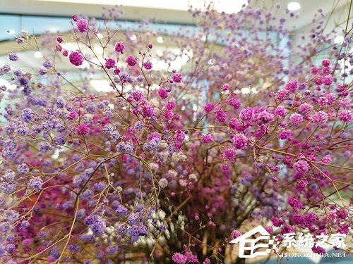 华为畅享10 Plus怎么样?华为畅享10 Plus体验评测