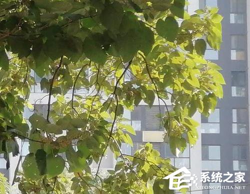 华为畅享10 Plus怎么样?华为畅享10 Plus体验评测