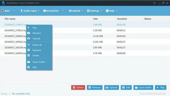 AceThinker Screen Grabber Pro