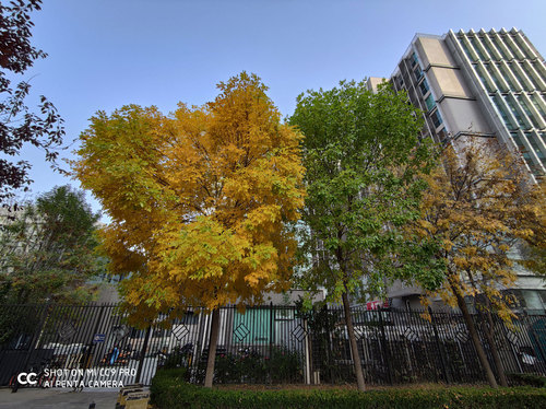 小米CC9 Pro拍照怎么样？