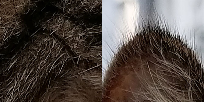 荣耀20青春版拍照好用吗？