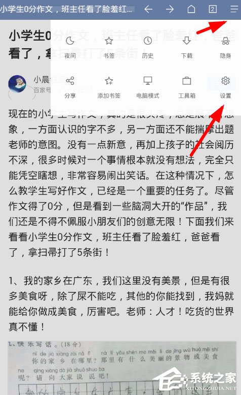 Via浏览器插件怎么用?