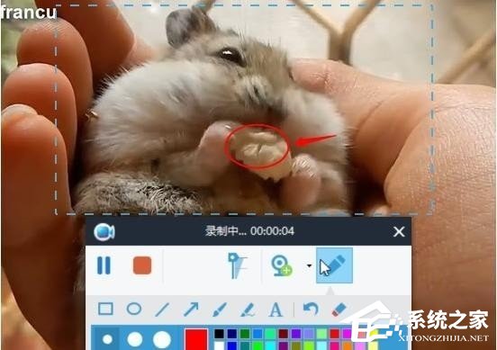 Apowersoft录屏王