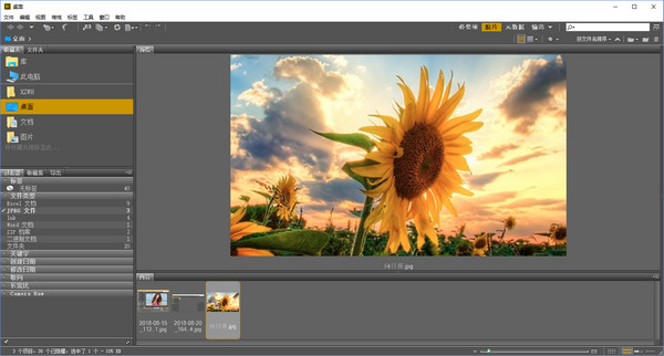 Adobe Bridge