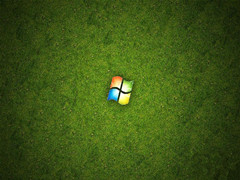 Windows 7旗舰版系统下键盘失灵无法输入怎么办？