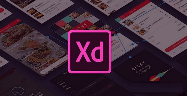 Adobe XD40