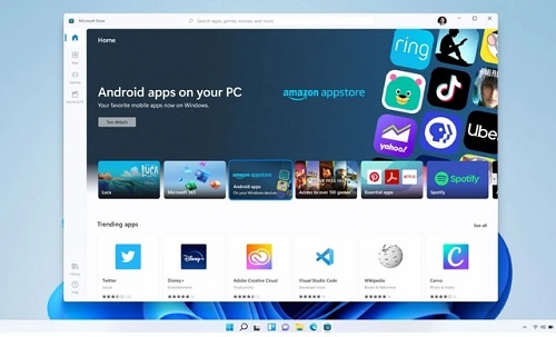 Win11提示无法安装程序包怎么办?
