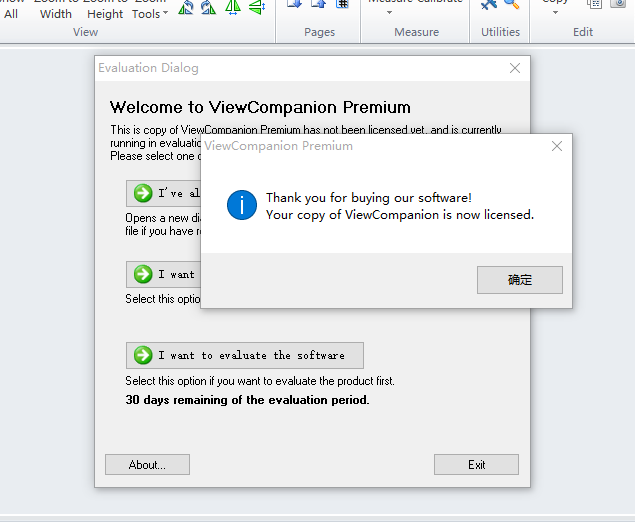 ViewCompanion premium