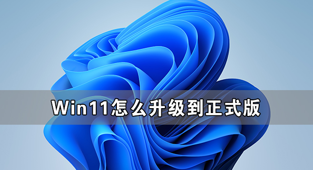 Win11怎么升级到正式版