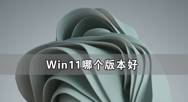Win11哪个版本好