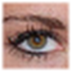 http://xitongzhijia.mg188.cn/lib/img1/allimg/211118/125-21111P925250.png