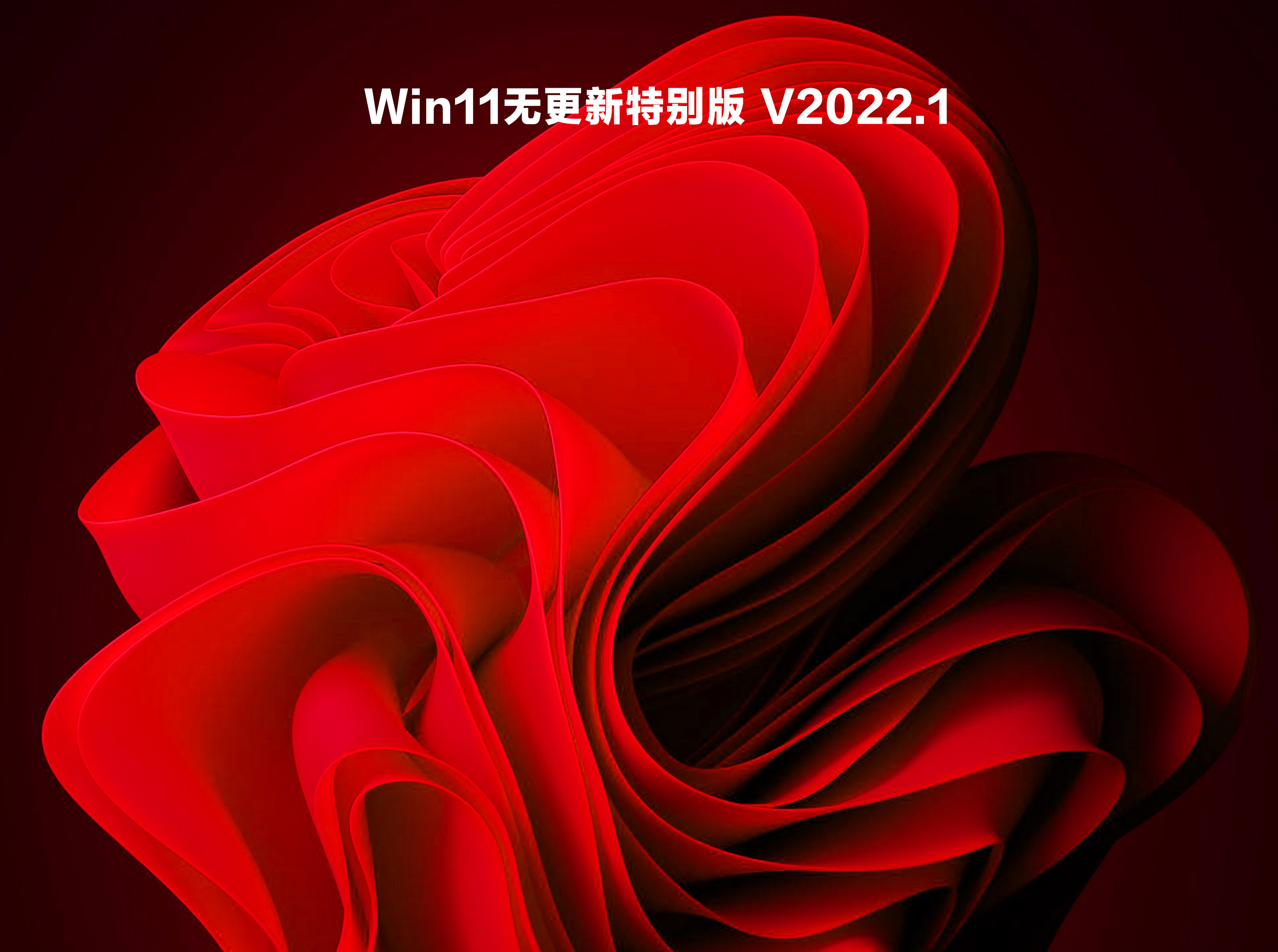 Win11无更新特别版 V2022.1