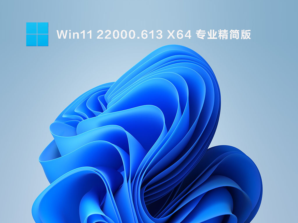 Win11 22000.613 X64 专业精简版 V2022.04