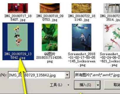 Word怎么设置图片衬于文字下方?