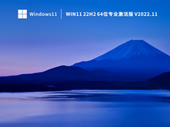 Win11 22H2 64位专业版 V2022.11