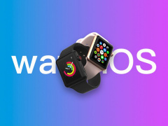 巴西 Apple Watch 用户更新 watchOS 9.2 后获得房颤历史功能