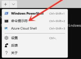 Win11怎么打开运行窗口?Win11运行命令