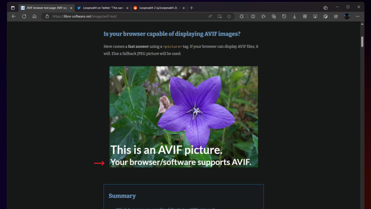 微软为 Edge 浏览器添加 AVIF 格式的支