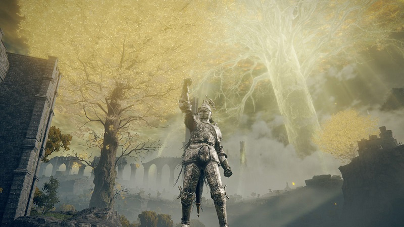 MOD 开发者为《艾尔登法环》游戏添加 DLSS 3 支持，帧率提升 37%