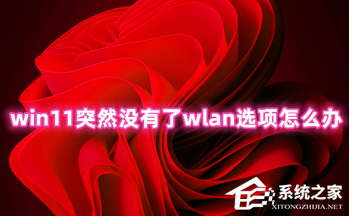 Win11突然没有了wlan选项怎么办？