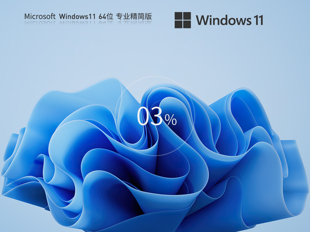 Windows11 22H2 64位 专业精简版 V2023
