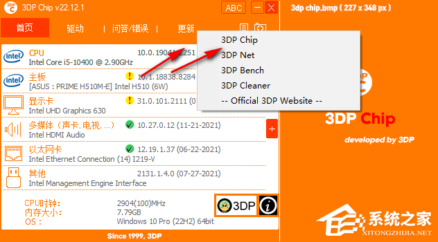 3DP Chip