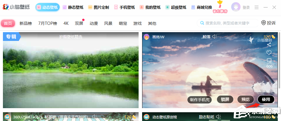 小鸟壁纸