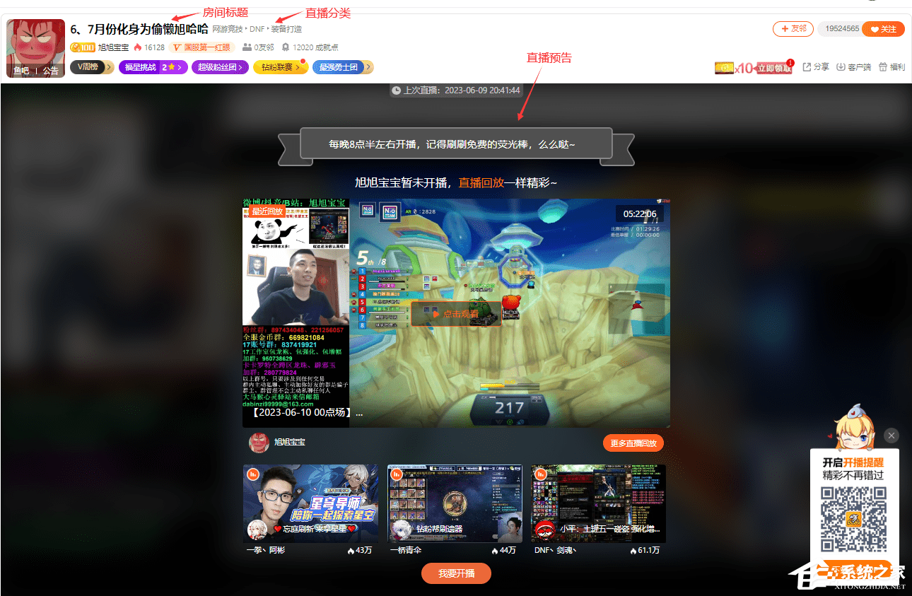 斗鱼直播伴侣