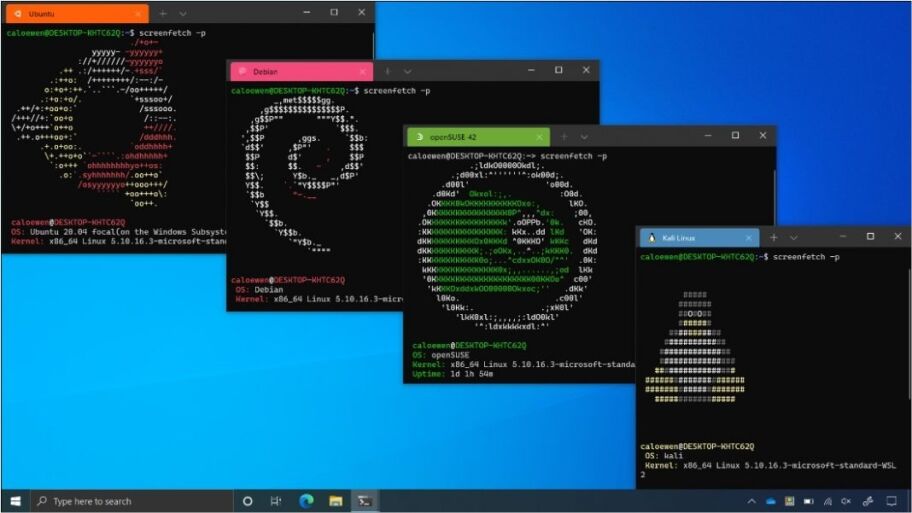 微软 Win11 Linux 子系统支持直接部署