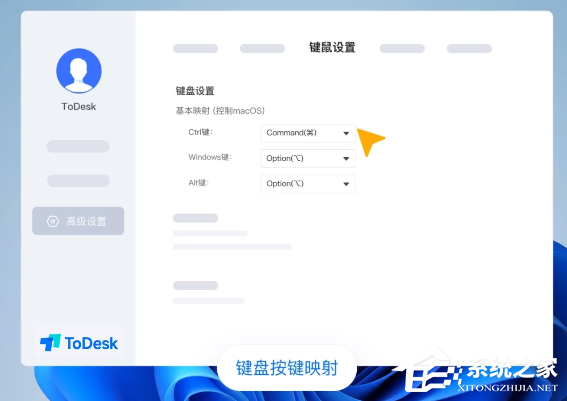 ToDesk