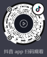 Windows11 23H2 纯净专业版系统