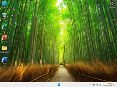 【办公首选】Windows11 24H2 64位 极速办公专业优化版