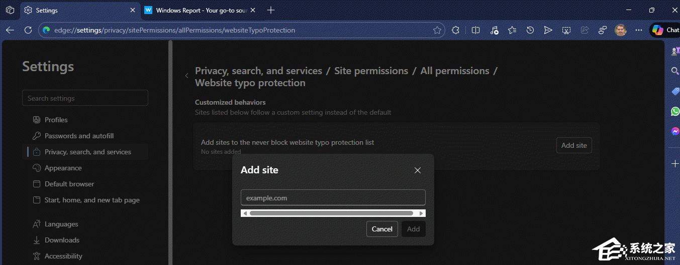 Edge 浏览器新增地址栏拼写警告跳过功
