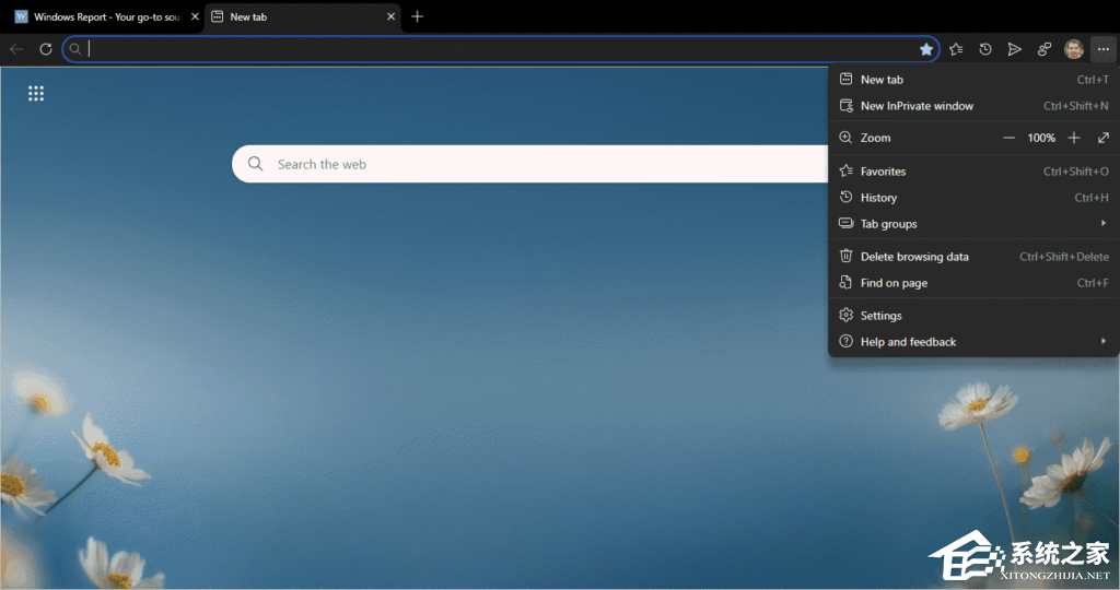 Edge 浏览器测试多 Windows 设备适配，