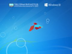 电脑公司Win10 22H2 64位极速专业版 V2021.07