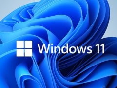 Win11 22504.1000 官方版 V2021.11