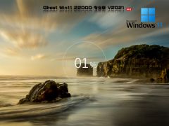 Windows11 22000.348 纯净精简版 V2021.11