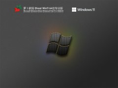 萝卜家园 Ghost Win11 64位 U盘精简版 V2022.01