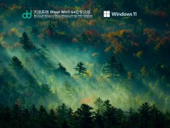 大地系统 Ghost Win11 64位 专业版 V2022.04