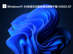 Windows11  64位官方正版镜像下载 V2022.07