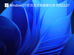 Windows11官方正式版镜像文件 V2022.07