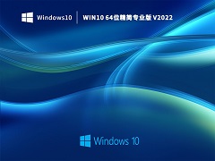 Win10 64位精简专业版 V2022
